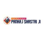Astrologer Pankaj  Shastry Ji Profile Picture