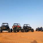 Buggy rentals Profile Picture