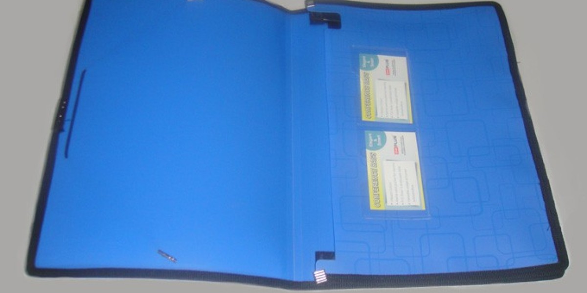 Plastic Envelope Folder: The Transparent File Folder Revolution by OnePlusFile