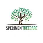 specimentreecare Profile Picture