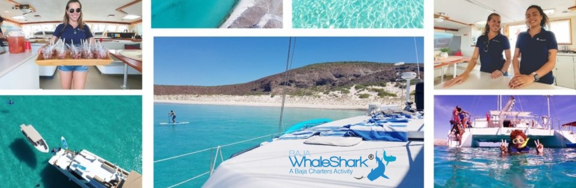 Baja Whale Shark Cover Image