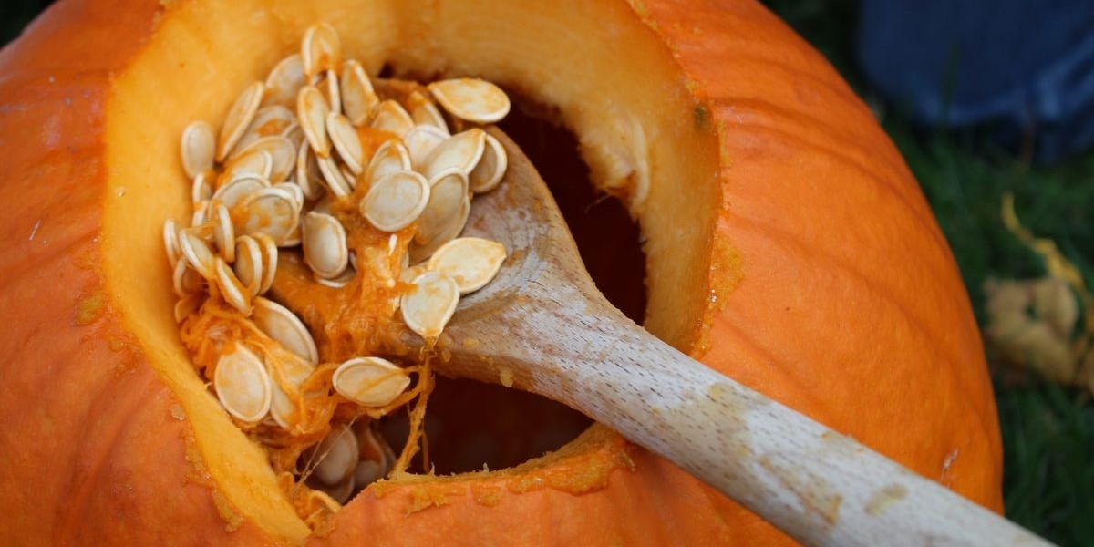 Harnessing the Power of Pumpkin Seeds for Cancer Prevention: A Comprehensive Guide
