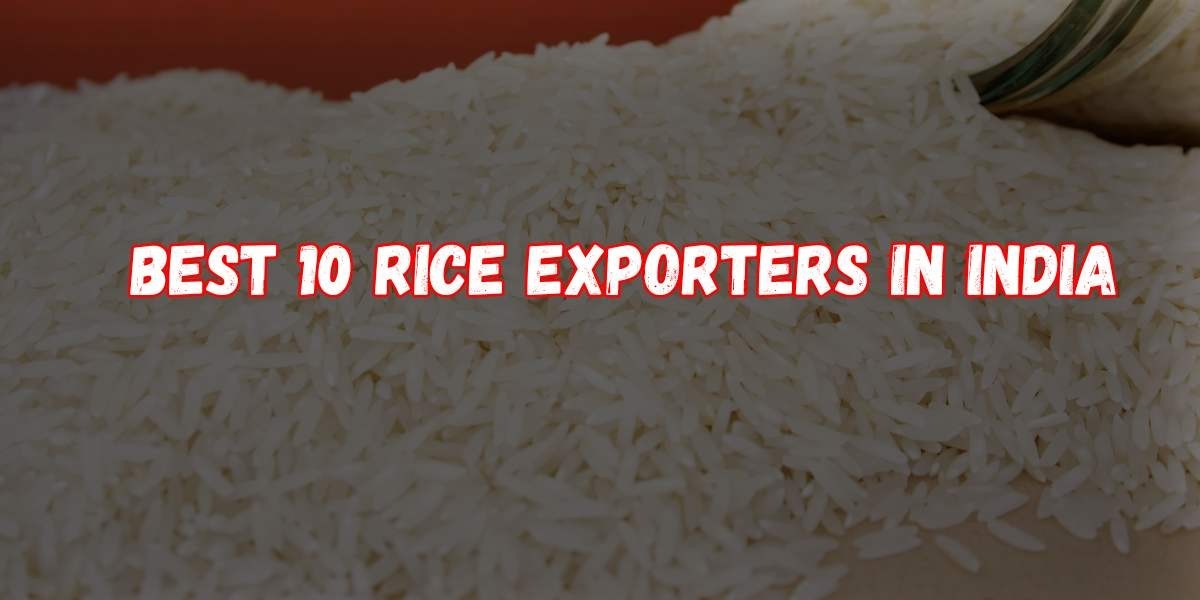 Best 10 Rice Exporters In India 2024