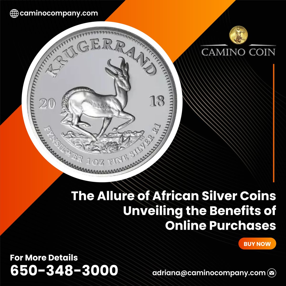 The Allure of African Silver Coins – Unveiling the Benefits of Online Purchases — Camino Coin Company - Buymeacoffee