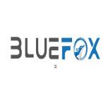 bluefoxto Profile Picture