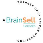 brainsellservices Profile Picture