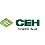 CEH Consulting Profile Picture