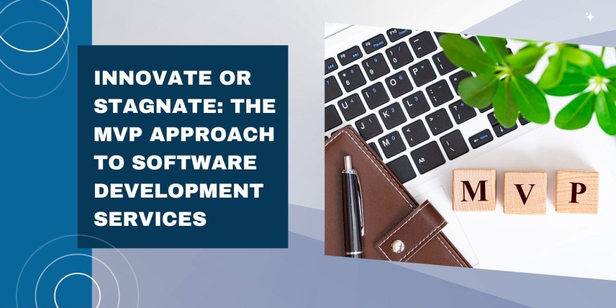 Innovate or Stagnate: The MVP Approach to Software Development Services