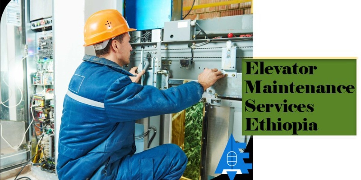 Professionals Elevator Maintenance Services Ethiopia