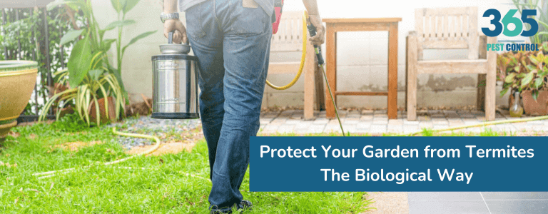Protect Your Garden from Termites - The Biological Way