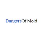 Dangers Of Mold Profile Picture