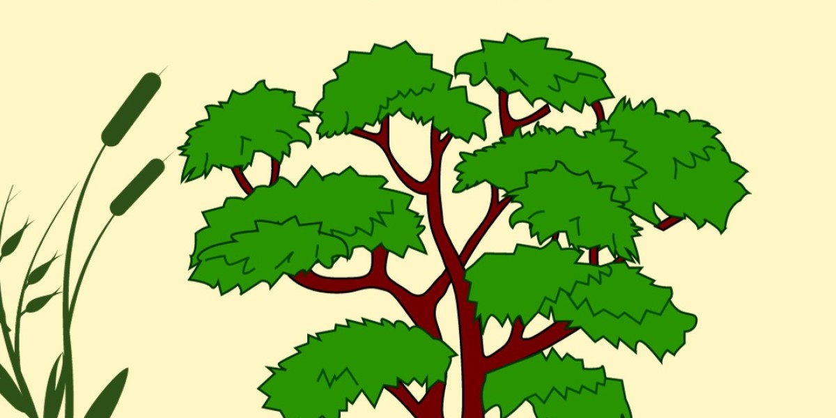 Auckland's Best Arborists & Tree Surgeons
