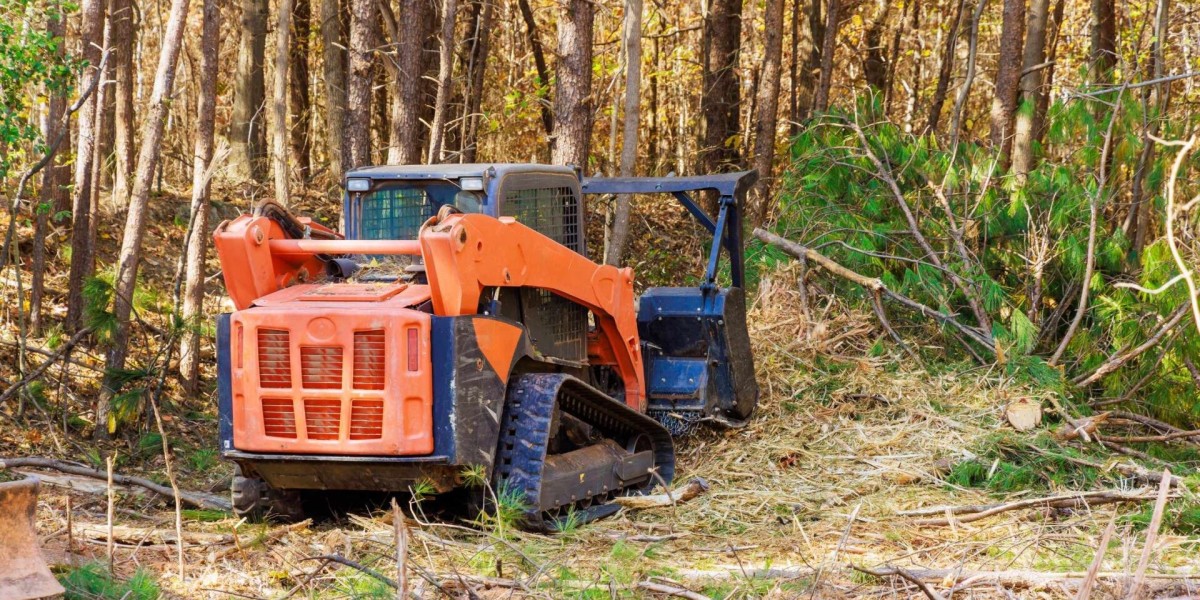 Why Forest Mulching Is The Best Eco-Friendly Land Clearing Solution