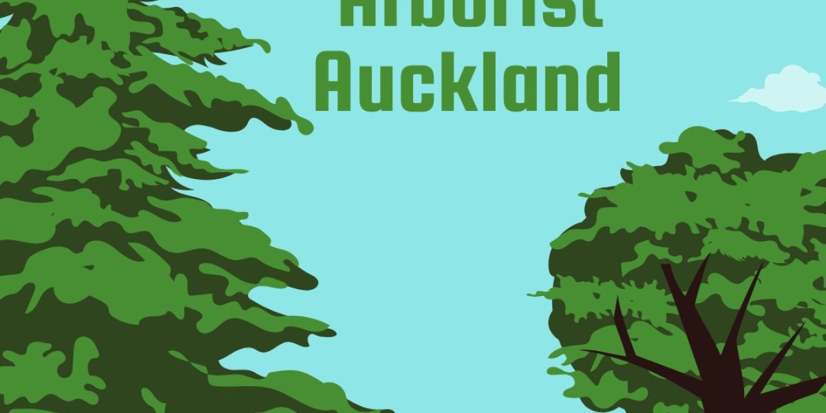 The Reliable Tree Removal & Arborist in Auckland
