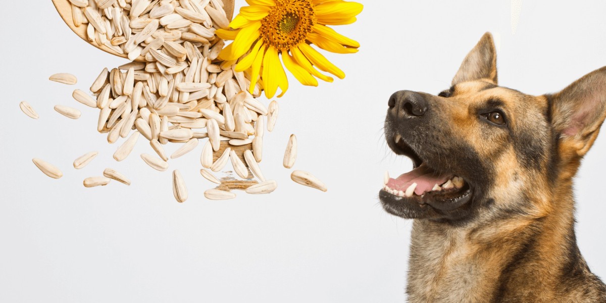 Can Dogs Eat Sunflower Seeds? A Guide to Pet Care