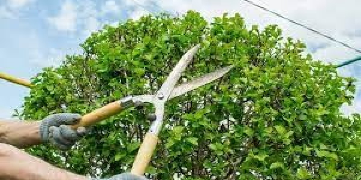 Essential Tree Pruning Techniques Every Gardener Should Master