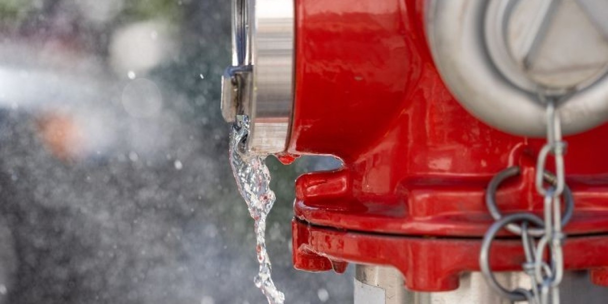 The Essential Role of Fire Hydrants in Urban Safety: Market Trends and Insights 