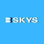 Bskys Adult **** Toys Profile Picture
