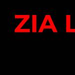 Zia Junk Trash Removal Profile Picture