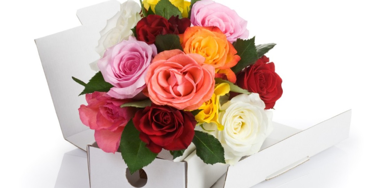Send Flowers Same Day Delivery New Zealand-