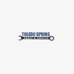 Toledo Spring Profile Picture