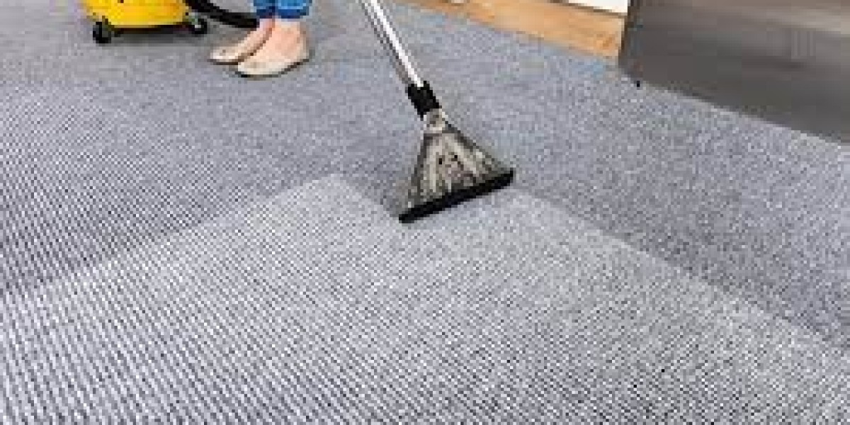The Transformative Power of Regular Carpet Cleaning Services