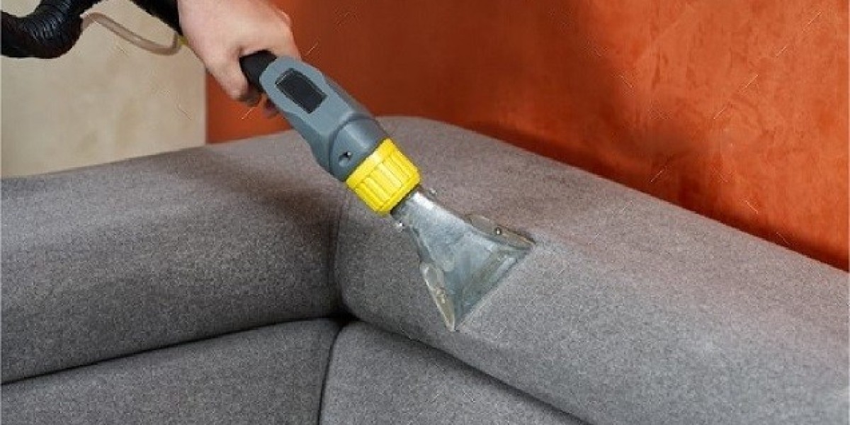 Burlington Clean Living: A Deep Dive into the Magic of Upholstery and Carpet Cleaning