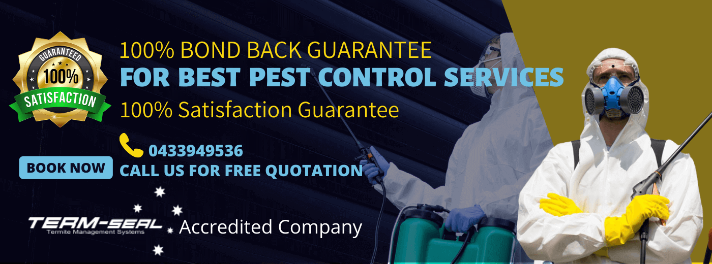 365 Pest Control on Tumblr: Get rid of creepy crawlies when they invade your home with 365 Pest Control. We provide pest control services for residential...