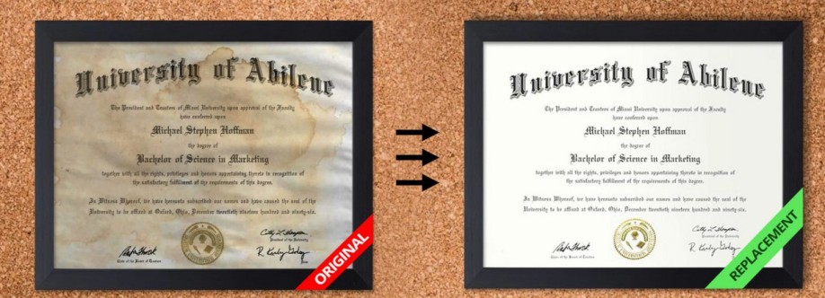 DIPLOMA MAKERS Cover Image