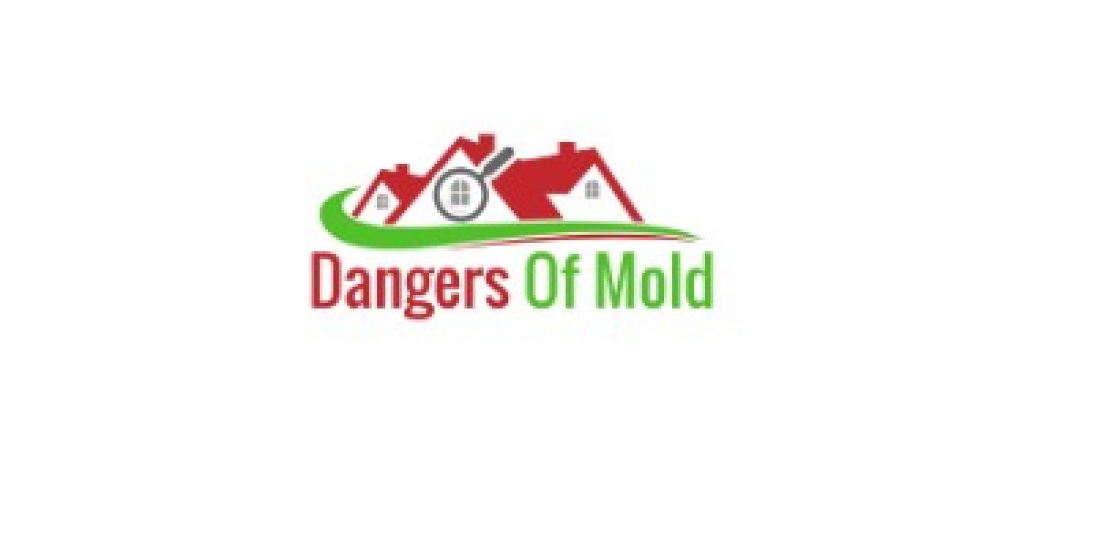 Mold Test for Home