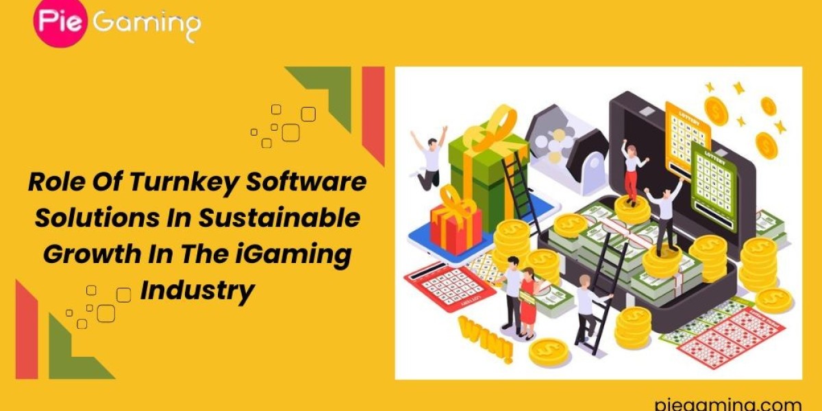 Role Of Turnkey Software Solutions In Sustainable Growth In The iGaming Industry