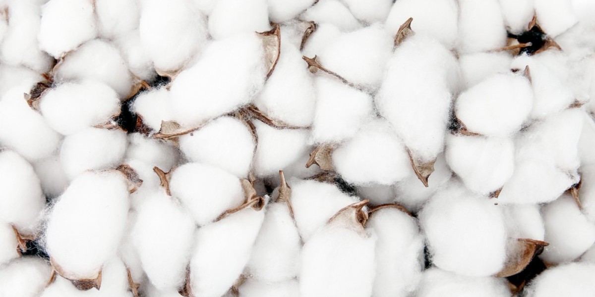 How Today's CBOT Cotton Price Affects the Commodity Market Live?