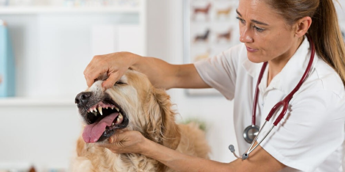 A Comprehensive Guide to Pet Vaccinations: What Every Winnipeg Pet Owner Should Know