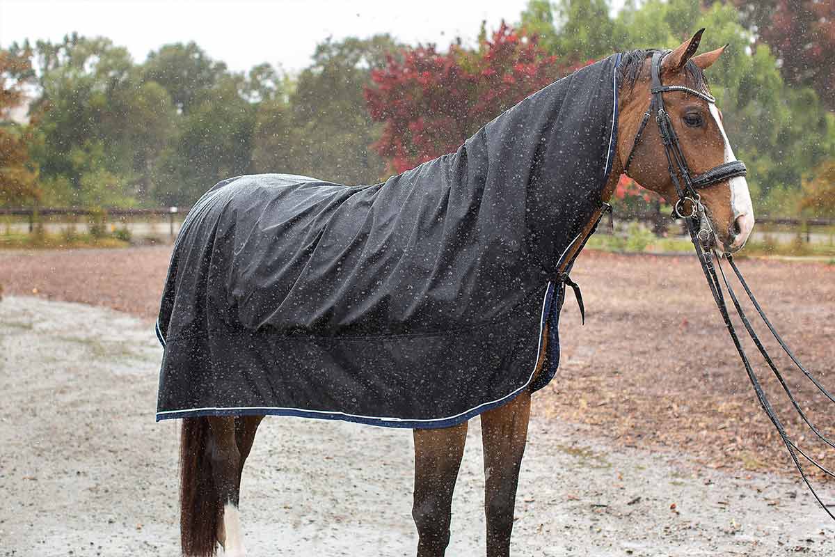 Horse Turnout Sheets: The Essential Gear for Every Equine Owner – GenerallyAwesome