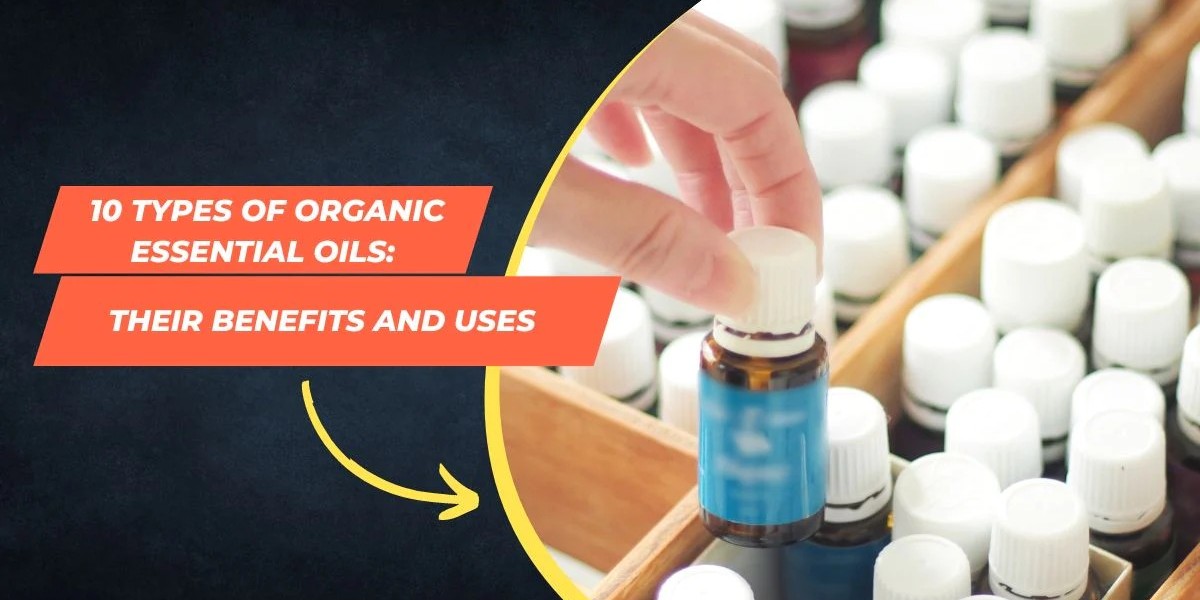 10 Types of Organic Essential Oils: Their Benefits and Uses