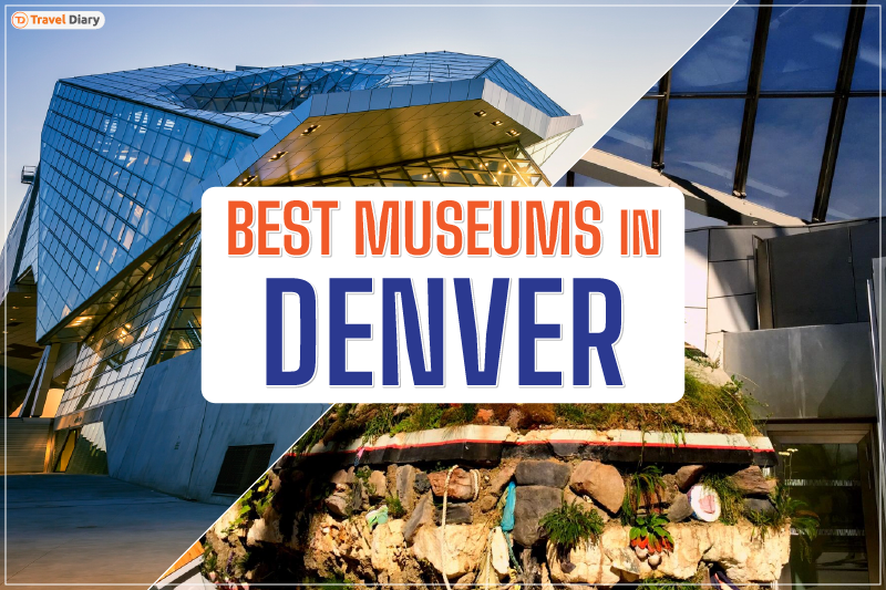 Explore the Best Museums in Denver for a Unique Cultural Dive