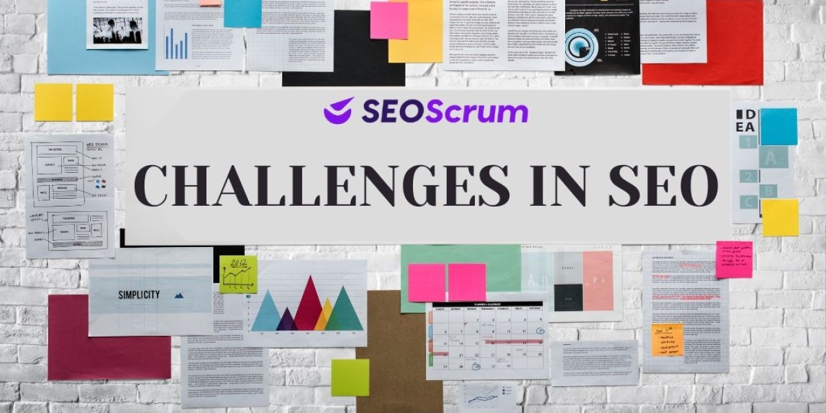 How to Overcome challenges in SEO and Risks?