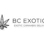 BC Exotics Profile Picture