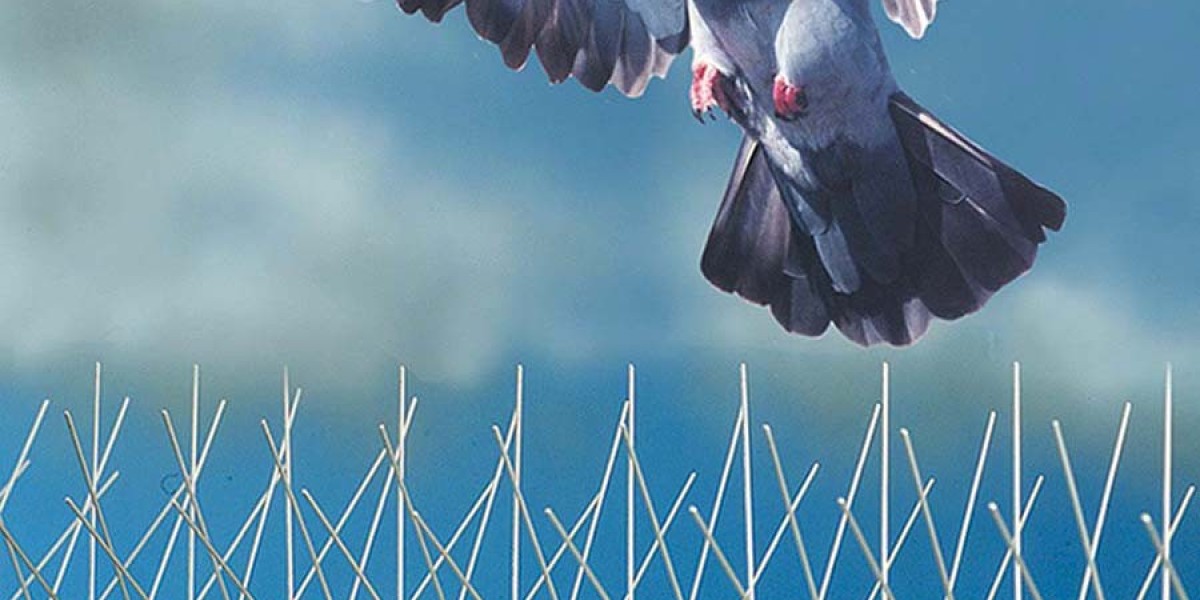 Bird Repellent Market Industry Share, Growth, Trends, Key Players Analysis and Forecast 2024-2032