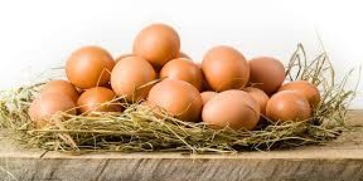 Namakkal Egg Suppliers|Sri Selvalakshmi Feeds & Farms