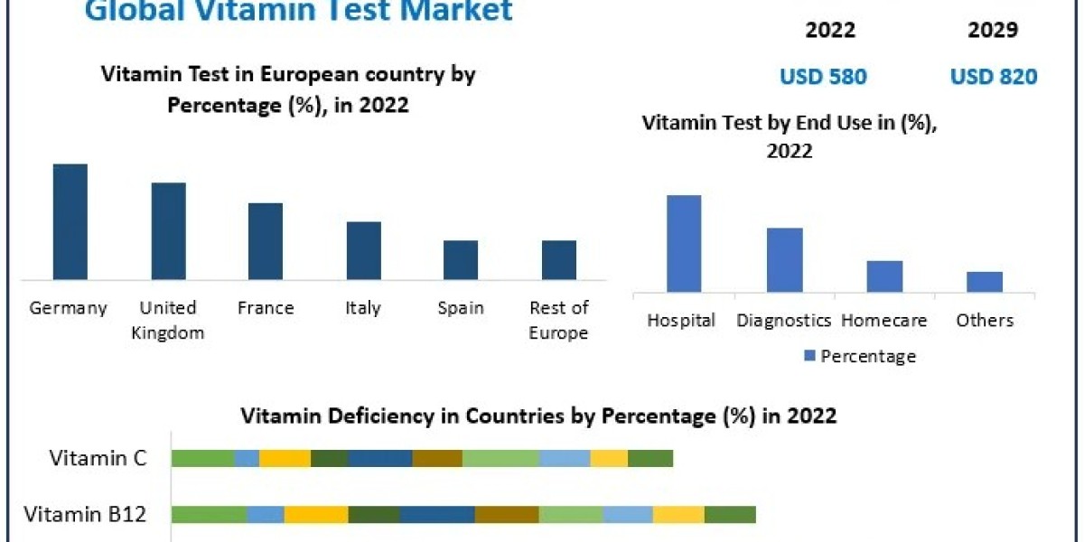Vitamin Test Market Business Strategies, Revenue and Growth Rate Upto 2029