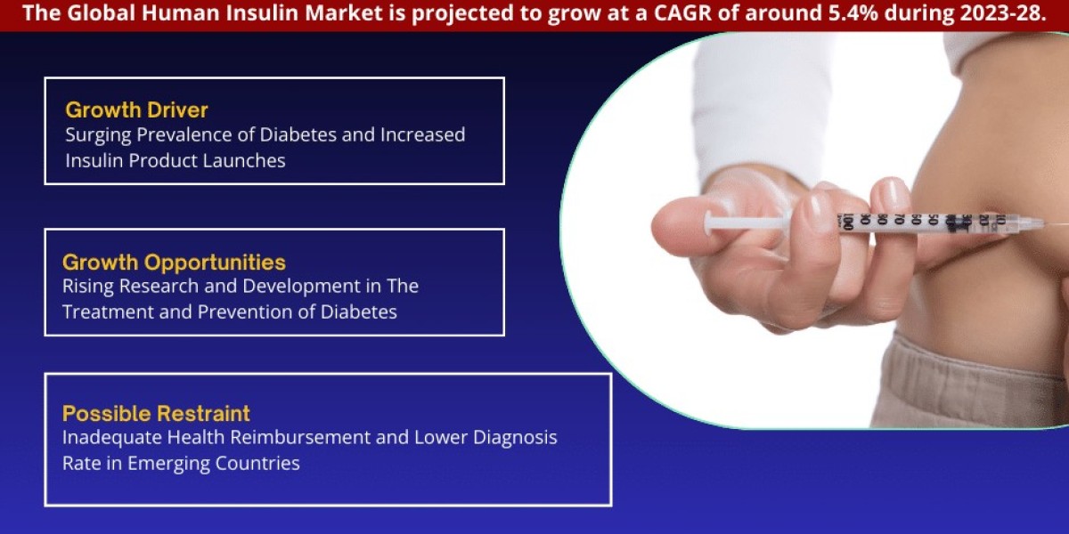 Human Insulin Market: A Comprehensive Analysis Exploring Growth Opportunities by 2028