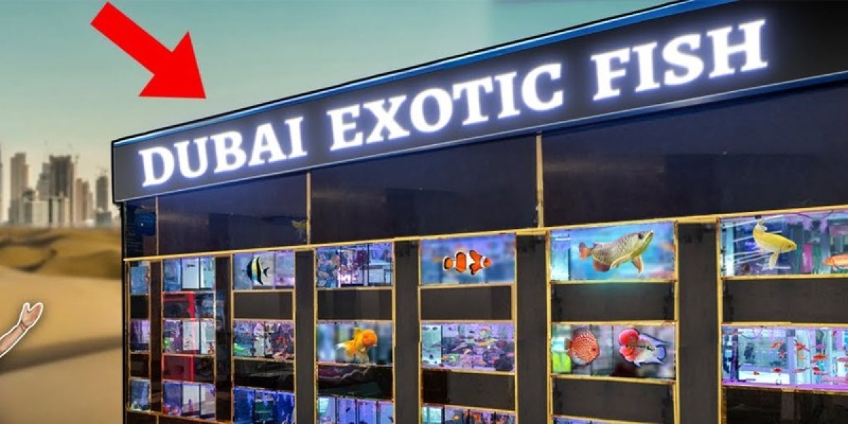 Best Aquarium Maintenance Service and Pet Accessories Shop in UAE