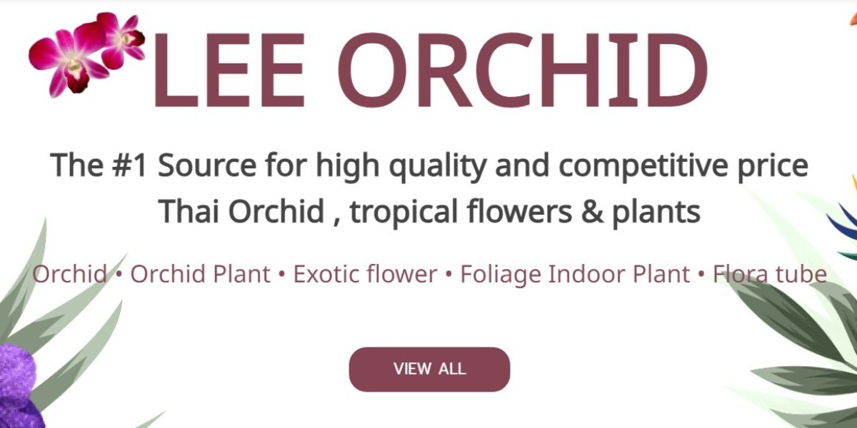 A Closer Look: Quality Comparison of Loose and Wholesale Orchids