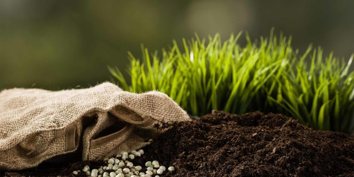 Buy Fertilizers Online in Pakistan: Convenience for Agricultural Needs