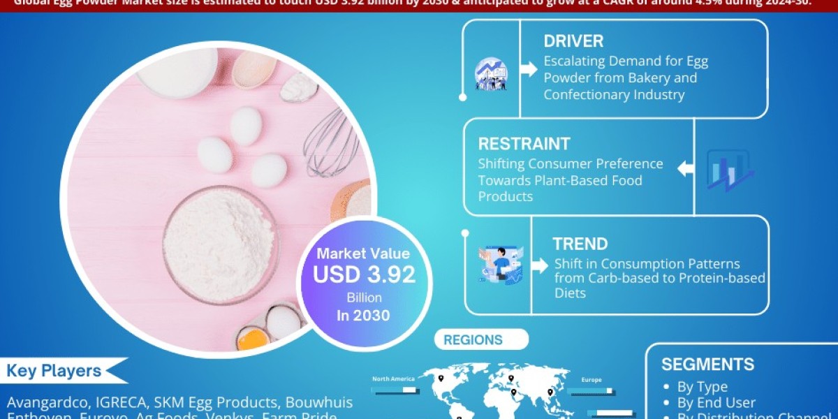 Egg Powder Market Know the Untapped Revenue Growth Opportunities