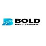 Bold Auto Transport LLC Profile Picture