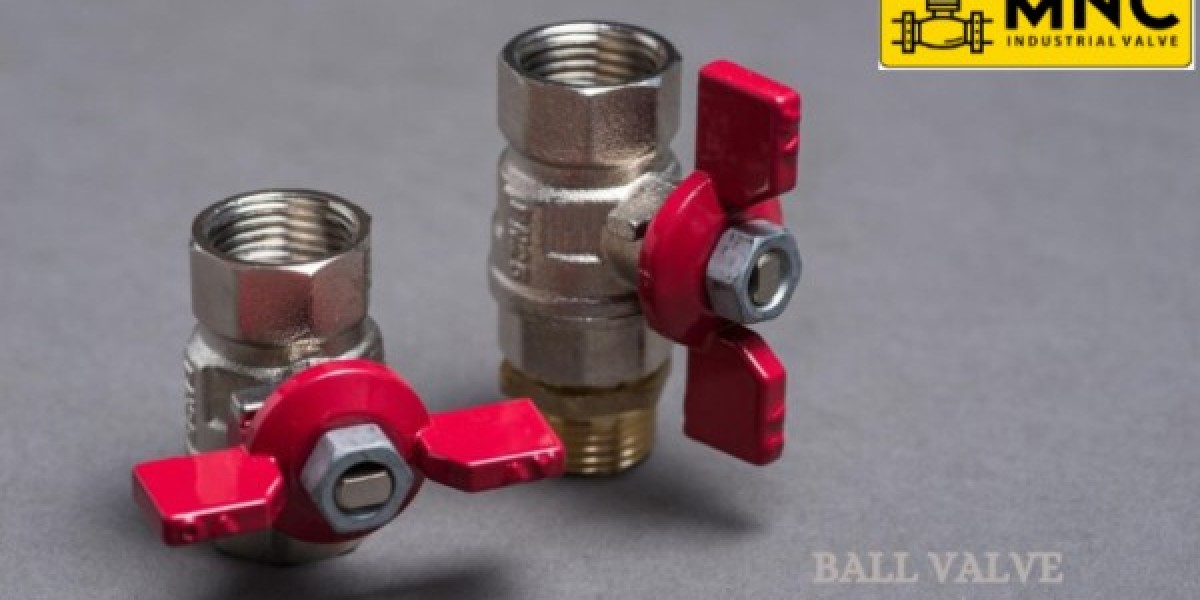 Ball Valve Manufacturers and suppliers in Delhi