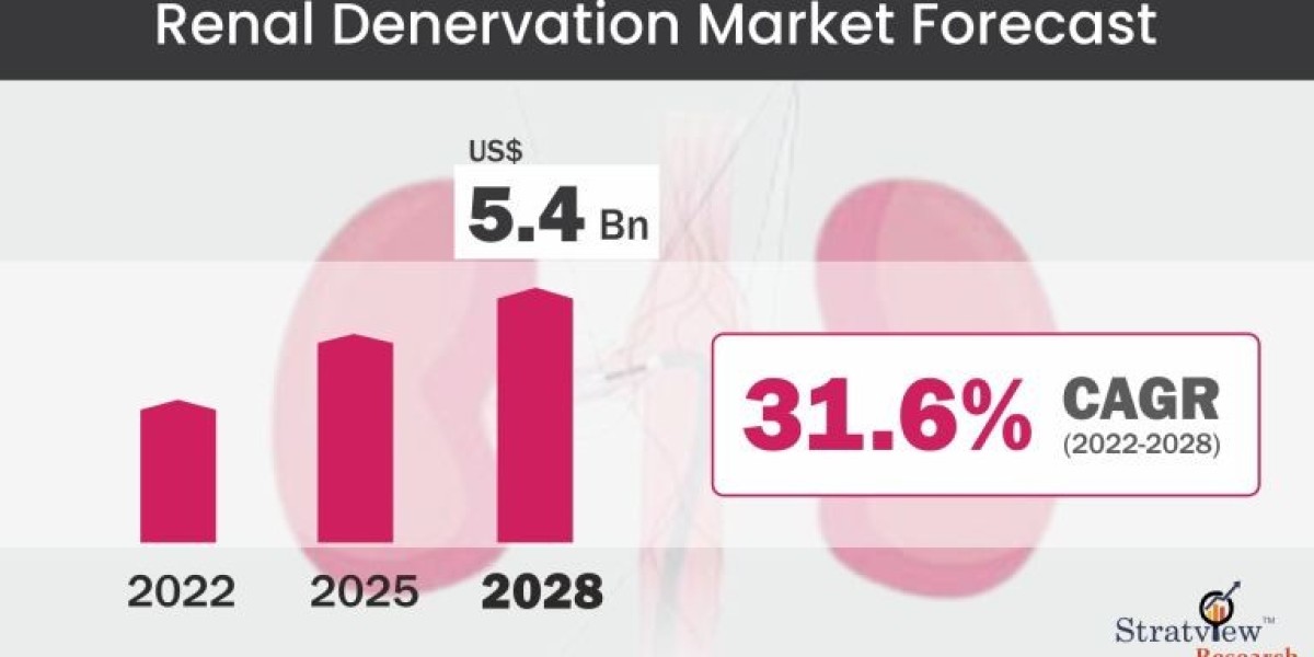 Renal Denervation Market is Expected to Register a Considerable Growth by 2028