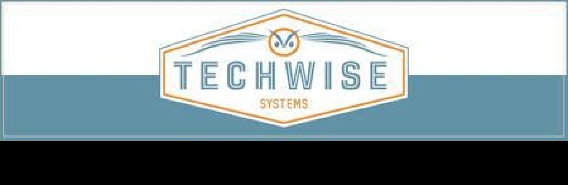 Tech Wise Systems Cover Image